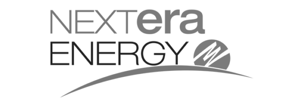 Nextera energy logo sliced